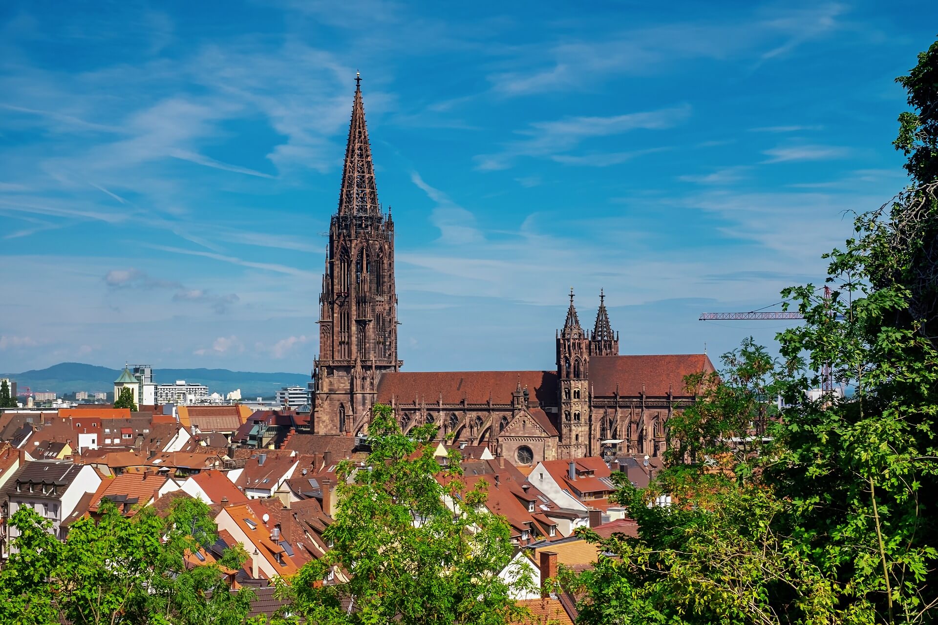 Freiburger Münster – Teamevents in Freiburg und Bad Krozingen
