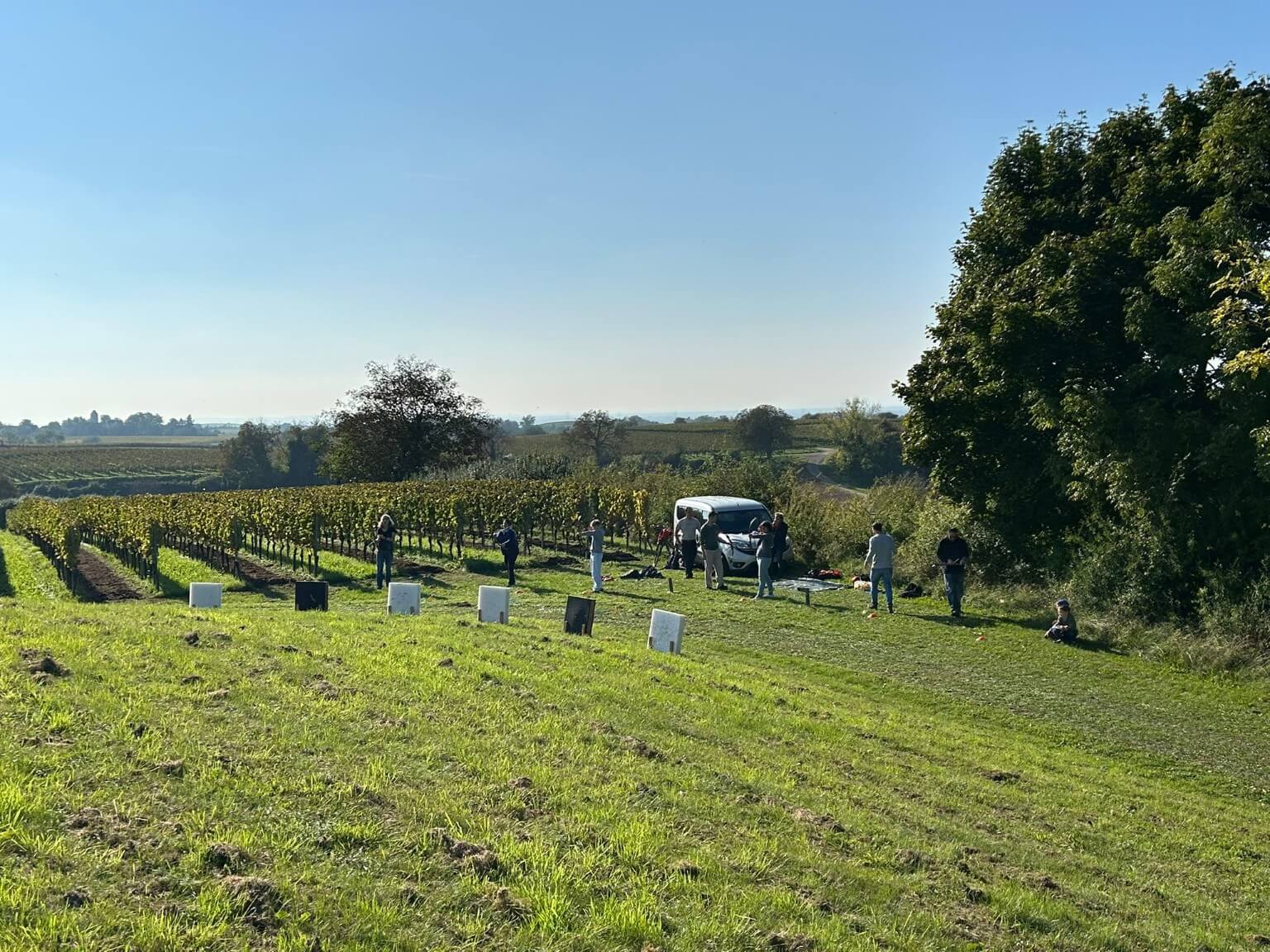 Bogenschießen beim Geocaching im Herbst in den Weinbergen bei Heitersheim
