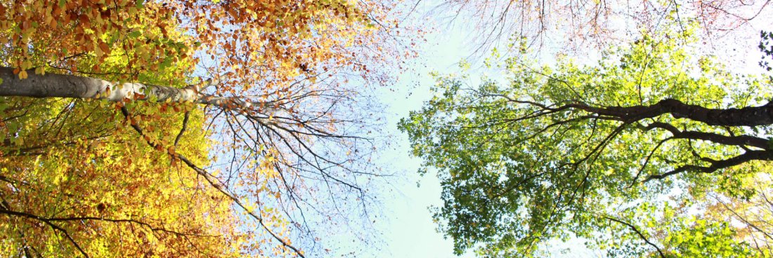 Geocachen im späten Herbst: Farbenvielfalt bei München
